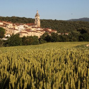 Vía verde del ferrocarril Vasco Navarro - antoñana