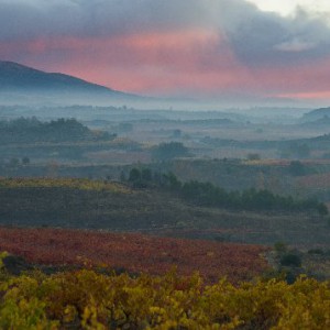 Las lagunas de Laguardia por el GR 38 - viñedos