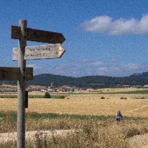 Camino Ignacio Alavés - San Vicente