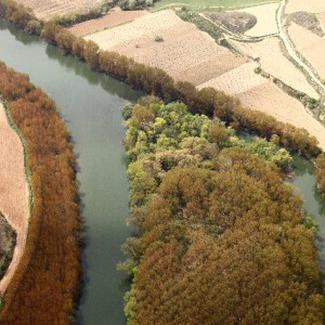 El Ebro en Álava por el 99 - isla