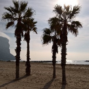 Calpe - Playa del Arenal-Bol