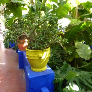 JARDÍN MAJORELLE