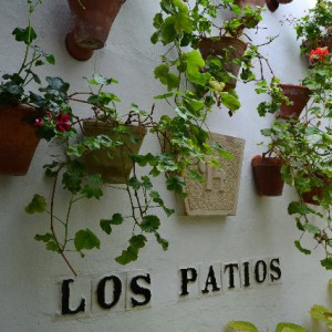 Patio Córdobes