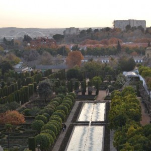 Patios Alcázar