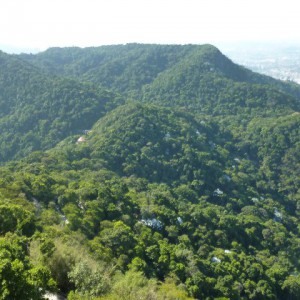 Parque Nacional de la Tijuca