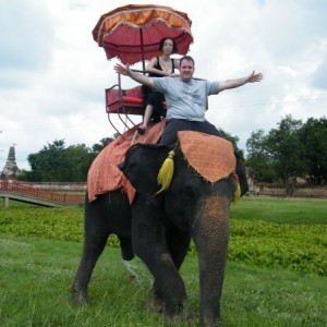 Elefante Ayutthaya