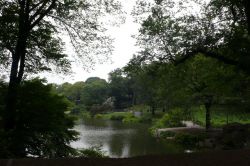 Un día en Central Park