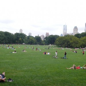 Sheep Meadow