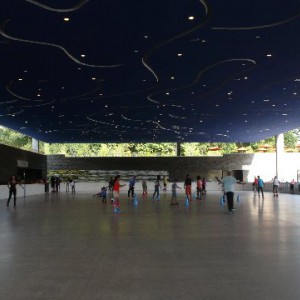 Pista de patinaje en Prospect Park