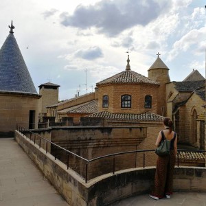 Palacio Real de Olite