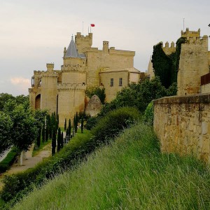 Palacio Real de Olite