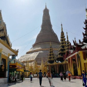 Yangon - Shwedagon Paya