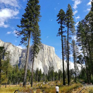 El Capitán - Yosemite National Park