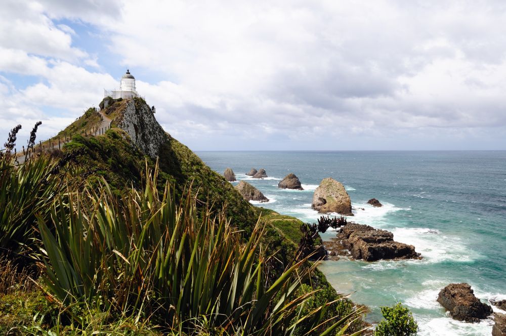The Catlins por la Southern Scenic Route (Sur de Nueva Zelanda)