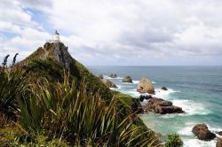 The Catlins por la Southern Scenic Route (Sur de Nueva Zelanda)