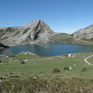 LAGOS DE COVADONGA: ENOL