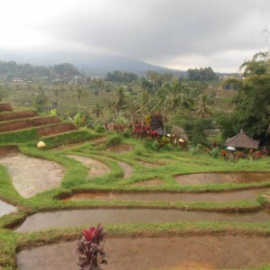 Arrozales de Jatiluwih (Patrimonio de la Humanidad